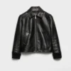 Leather Blouson Jacket
