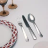 Stainless Steel Flatware Set